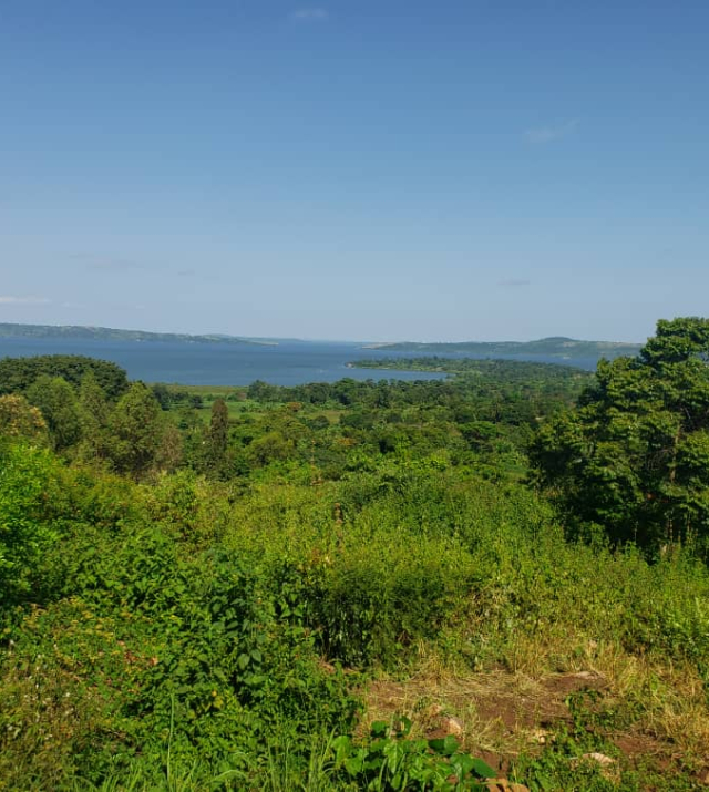 WhatsApp Image 2022-06-04 at 8.51.36 PM.jpeg